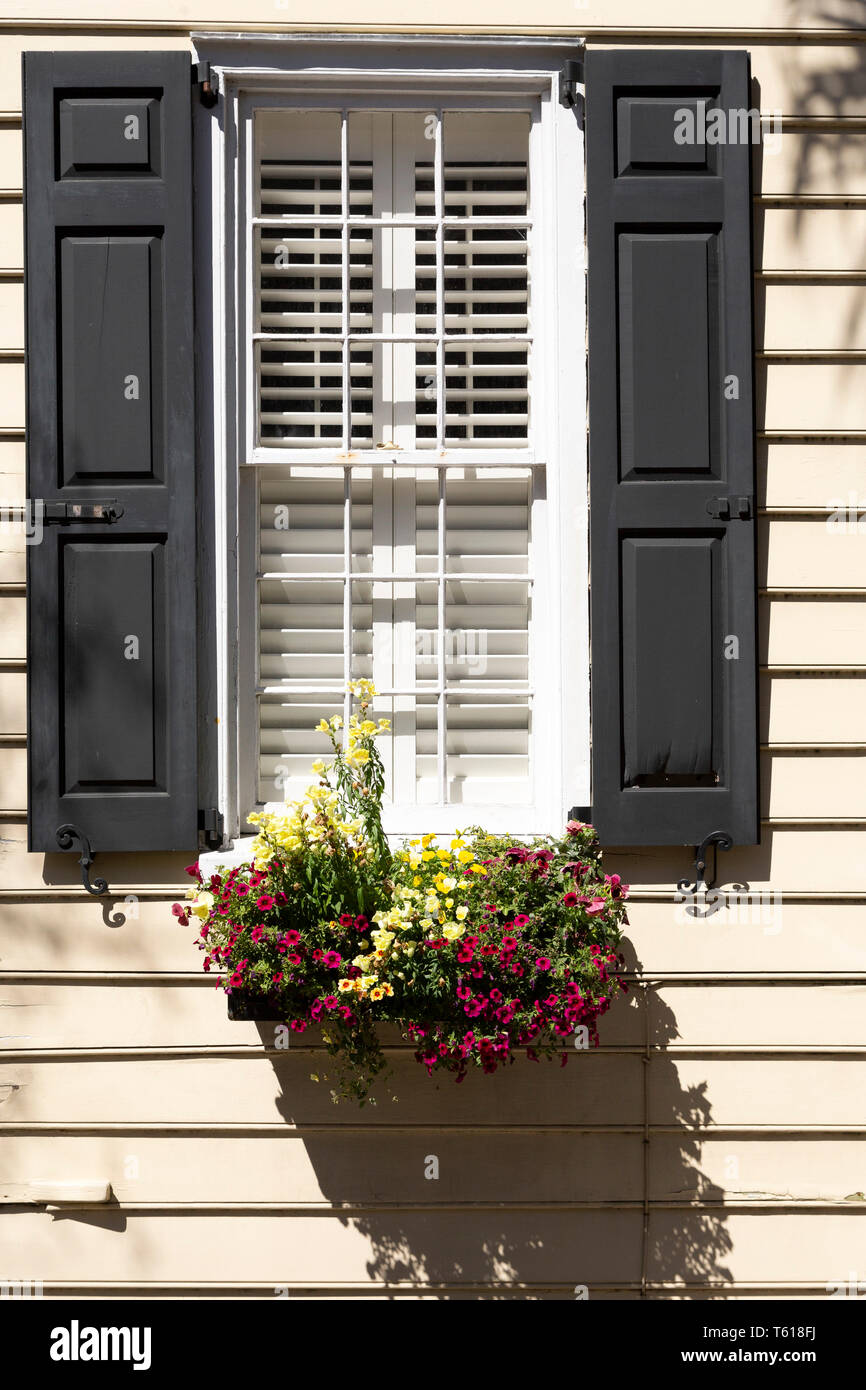 Ein Fenster und Rollläden in Charleston, South Carolina, USA. Die soliden  Fensterläden bezeichnen dies ist im Erdgeschoss Stockfotografie - Alamy