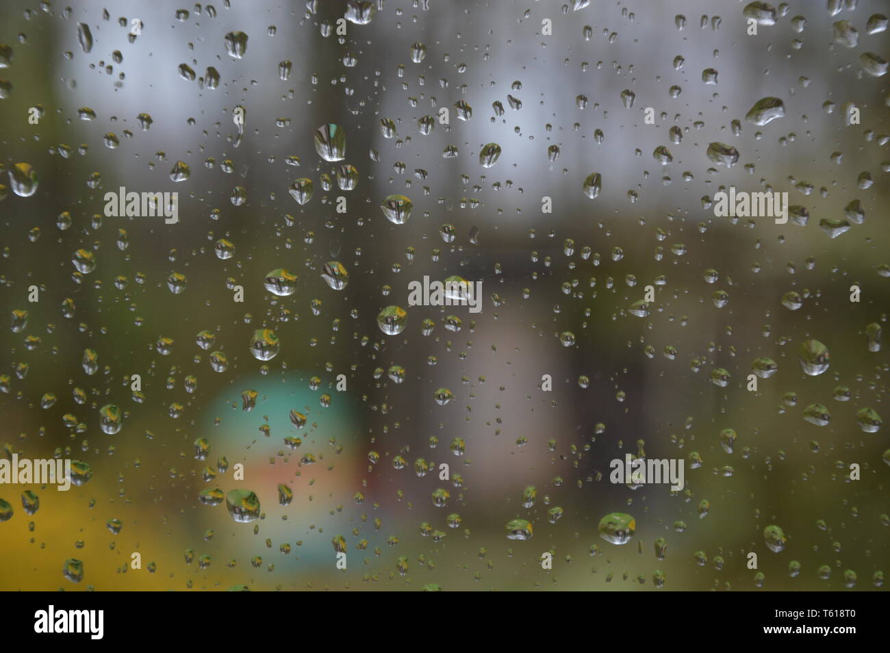 Regen fällt auf das Fenster mit Wald Hintergrund Stockfoto