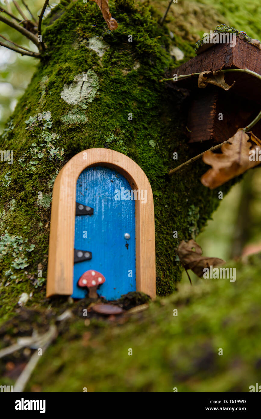 Fairy Türen auf Bäumen in einem irischen Holz für die kleinen Leute. Stockfoto