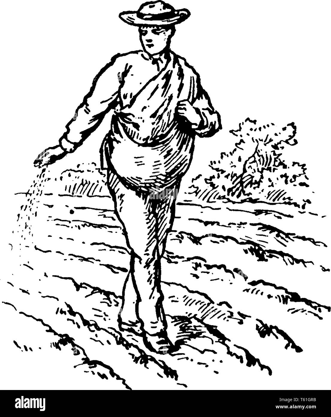 Ein Mann im Feld säen, vintage Strichzeichnung oder Gravur Abbildung Stock Vektor