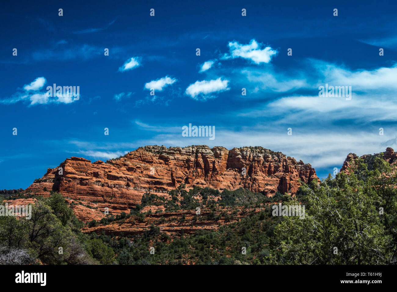 Die roten Felsen von Sedona Arizona Stockfoto