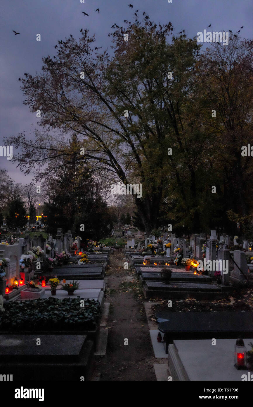 Friedhof von Nyíregyháza (Ungarn) während der Halloween Stockfoto