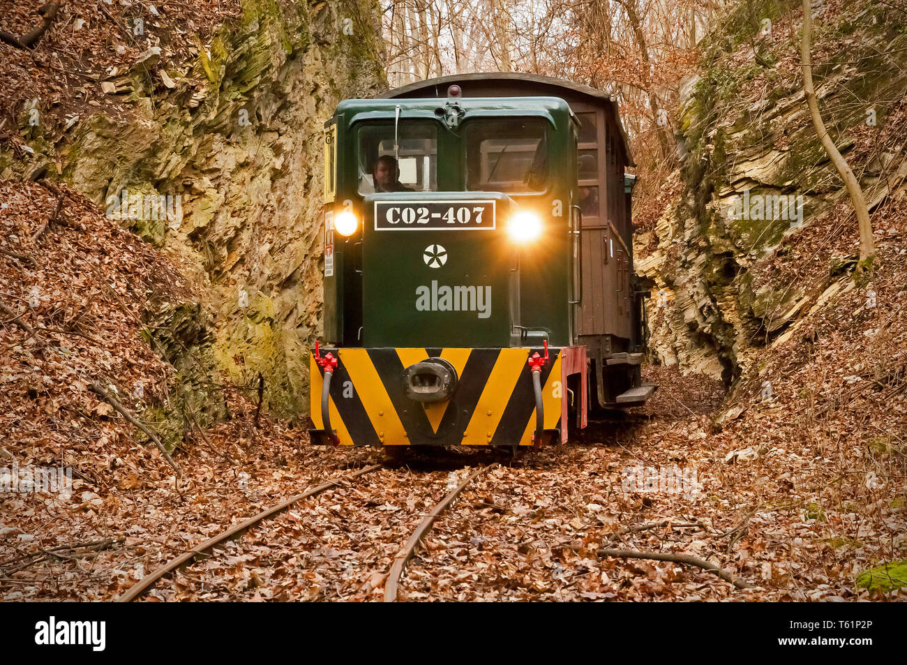 Die schmalspurbahn an Mahóca im Bükk Nationalpark, Ungarn Stockfoto