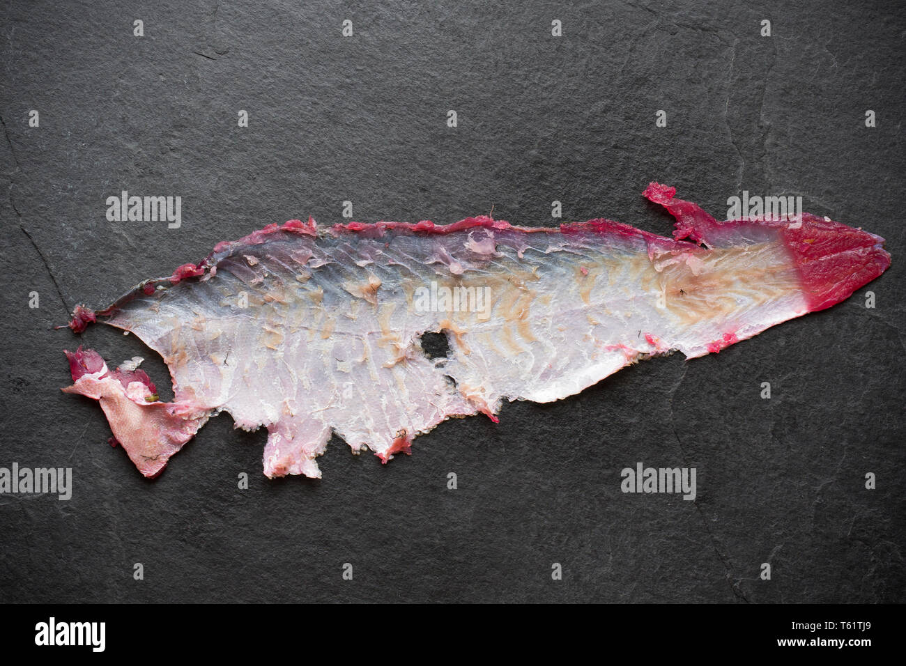 Die Haut von seelachsfilet, Pollachius pollachius, aus einem Fisch, die auf der Stange und Line in den Englischen Kanal vom Boot aus gefangen wurde. Es hat zu benutzt worden Stockfoto