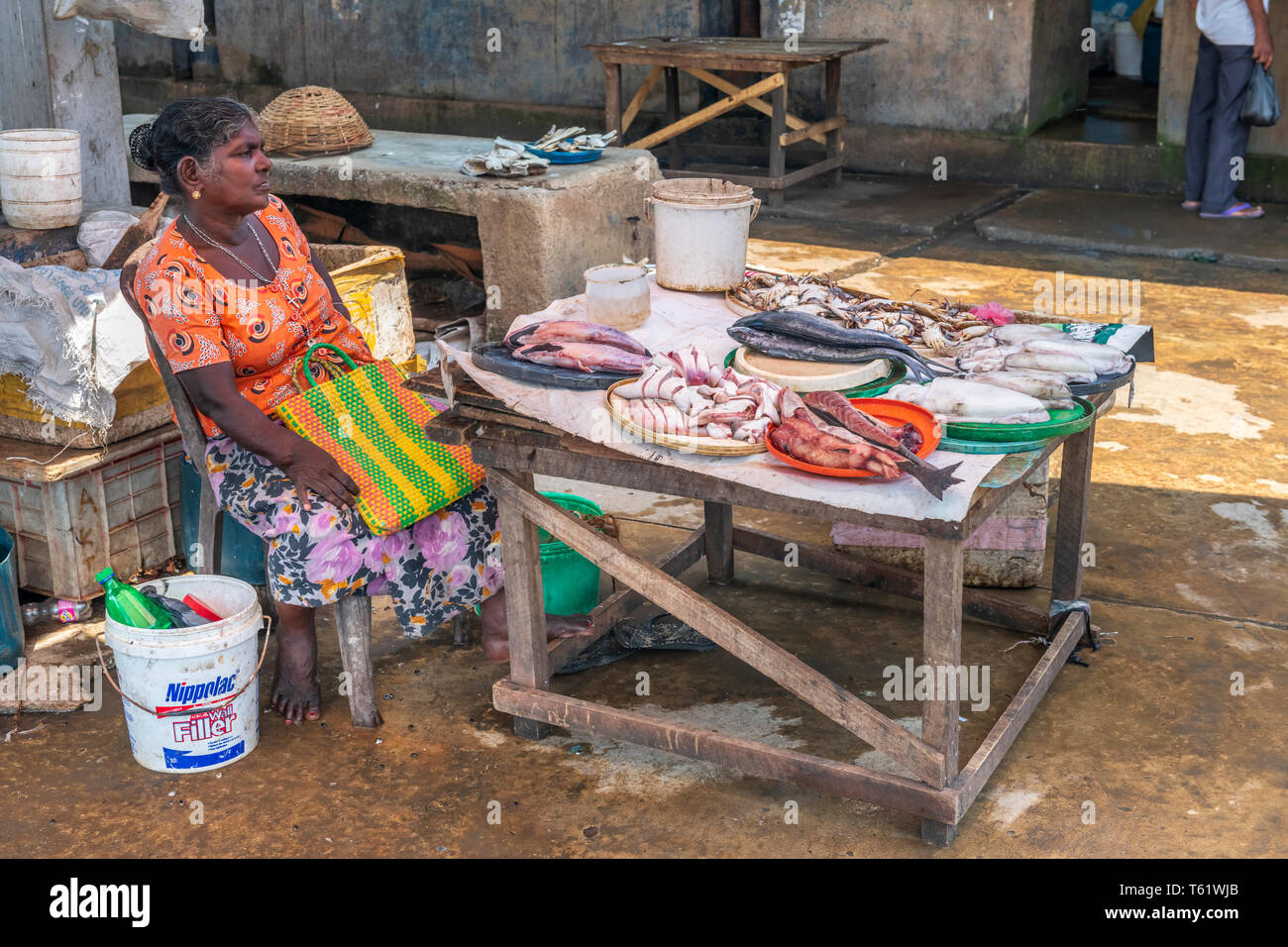 Auf der Suche nach Zuflucht vor der Hitze des Tages, eine Frau sitzt hinter ihr Anzeige von frischen Fisch in Negombo Fischmarkt in Sri Lanka. Stockfoto