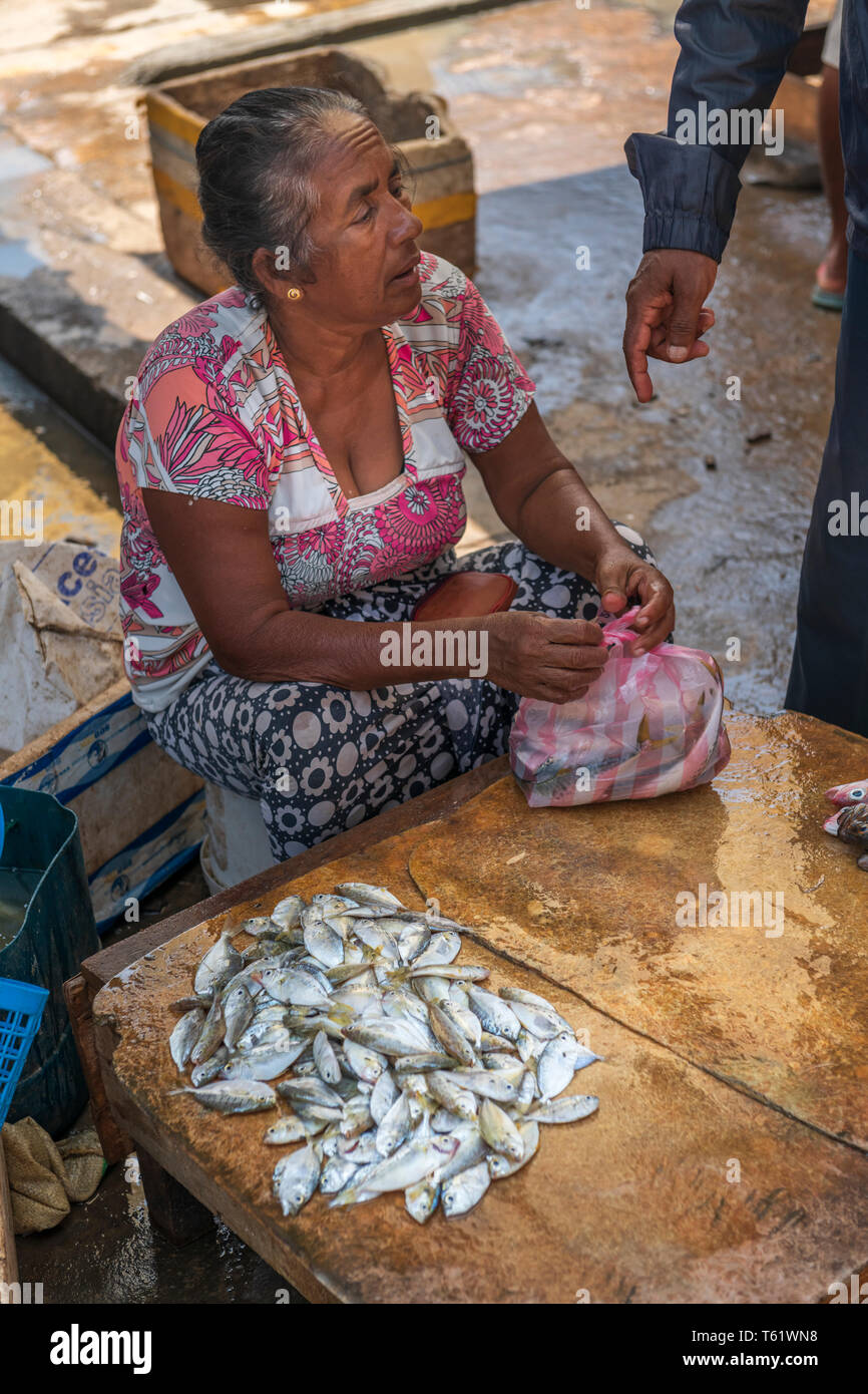 Auf der Suche nach Zuflucht vor der Hitze des Tages, eine Frau schließt das Abkommen auf den Verkauf einer Tasche silber Fisch bei Negombo Fischmarkt in Sri Lanka. Stockfoto