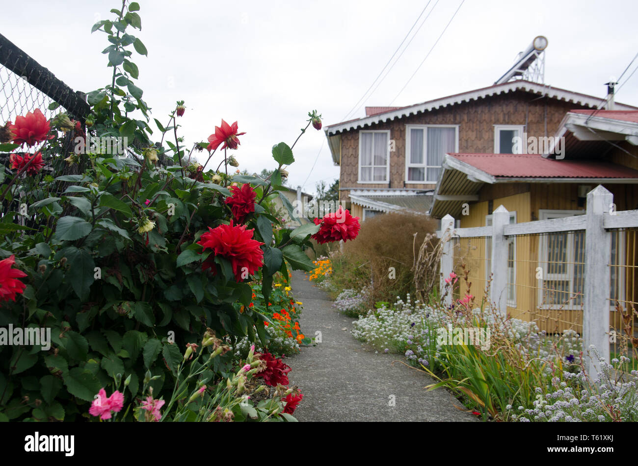 In der Insel Chiloé, Chile, heißt es an 300 Tagen im Jahr regen so kein Problem die Bewässerung der Hausbesitzer mit Blumen geschmückten Garten Stockfoto