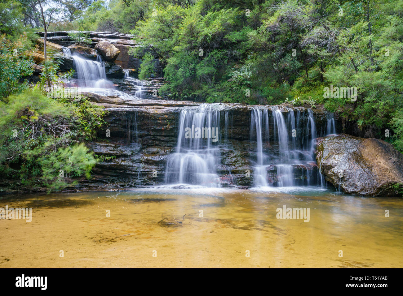 Wasserfall auf der Spencer Court gehen, Blue Mountains National Park, New South Wales, Australien Stockfoto