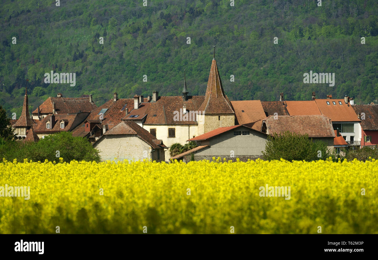 Historische Stadt Le Landeron im Frühjahr, Neuchatel, Schweiz Stockfoto