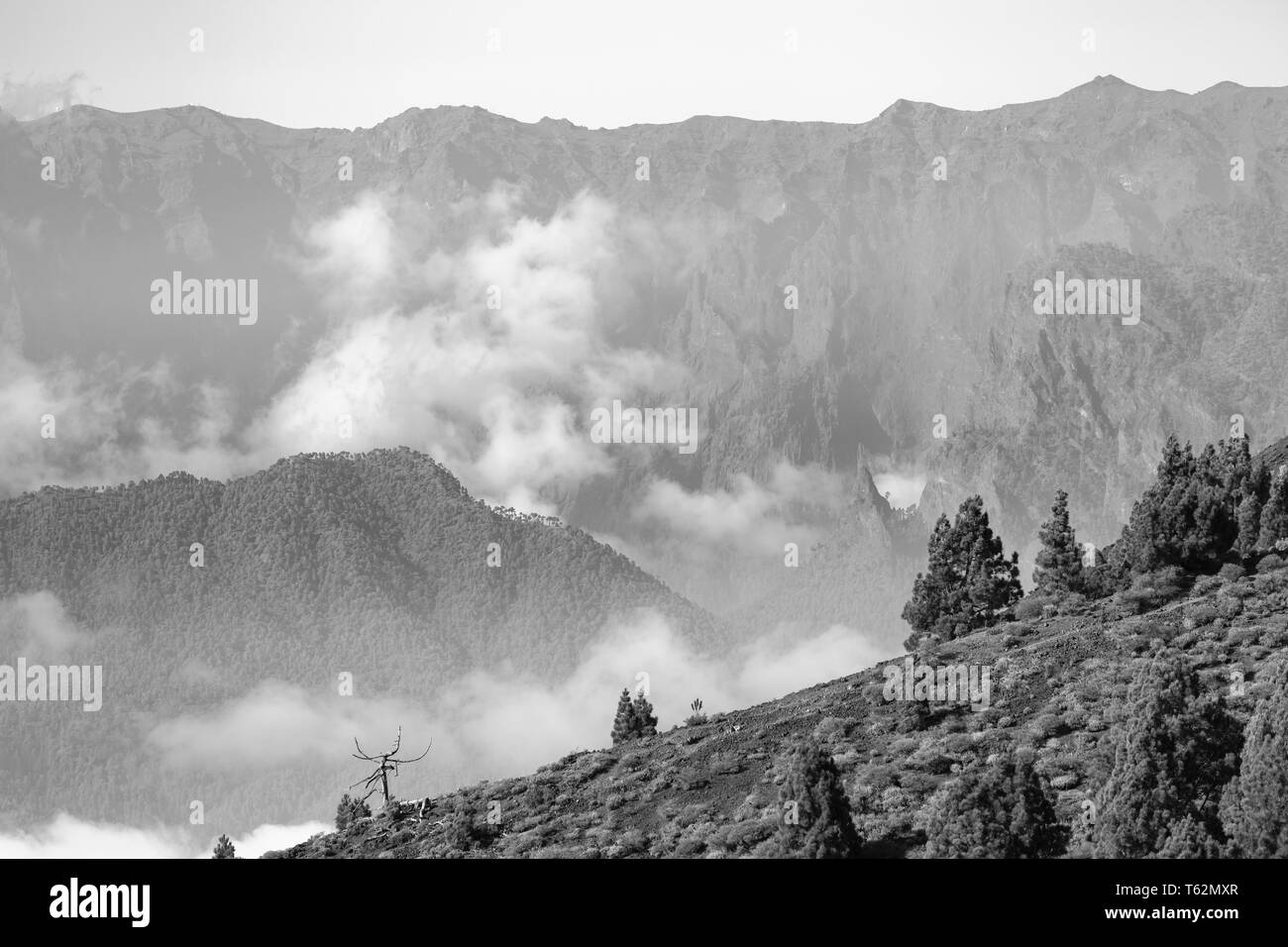 Schwarze und weiße Blick vom Montana la Barquita über der Cumbre Vieja auf La Palma, Spanien zu den fernen Caldera de Taburiente. Stockfoto