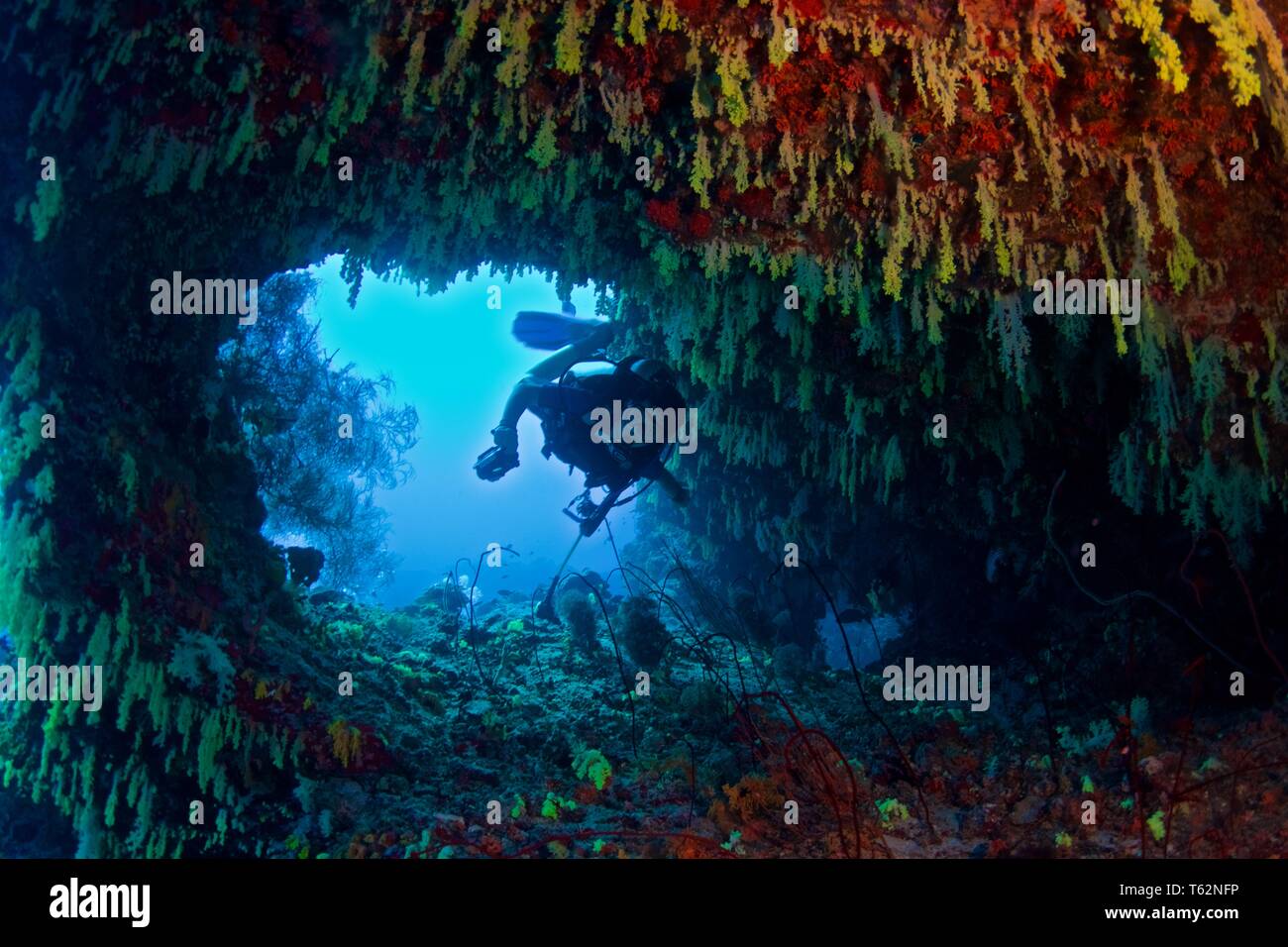 Unterwasser Fotografie in Malediven Stockfoto