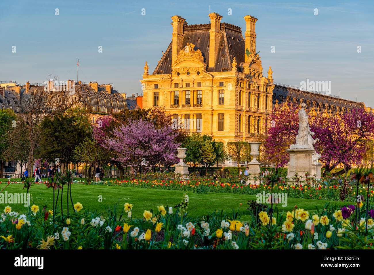 Blick auf den Park Jardin des Tuileries und dem Louvre mit Blumen, Statuen, Brunnen, und Kirschblüten im April - Frühling in Paris, Frankreich. Stockfoto