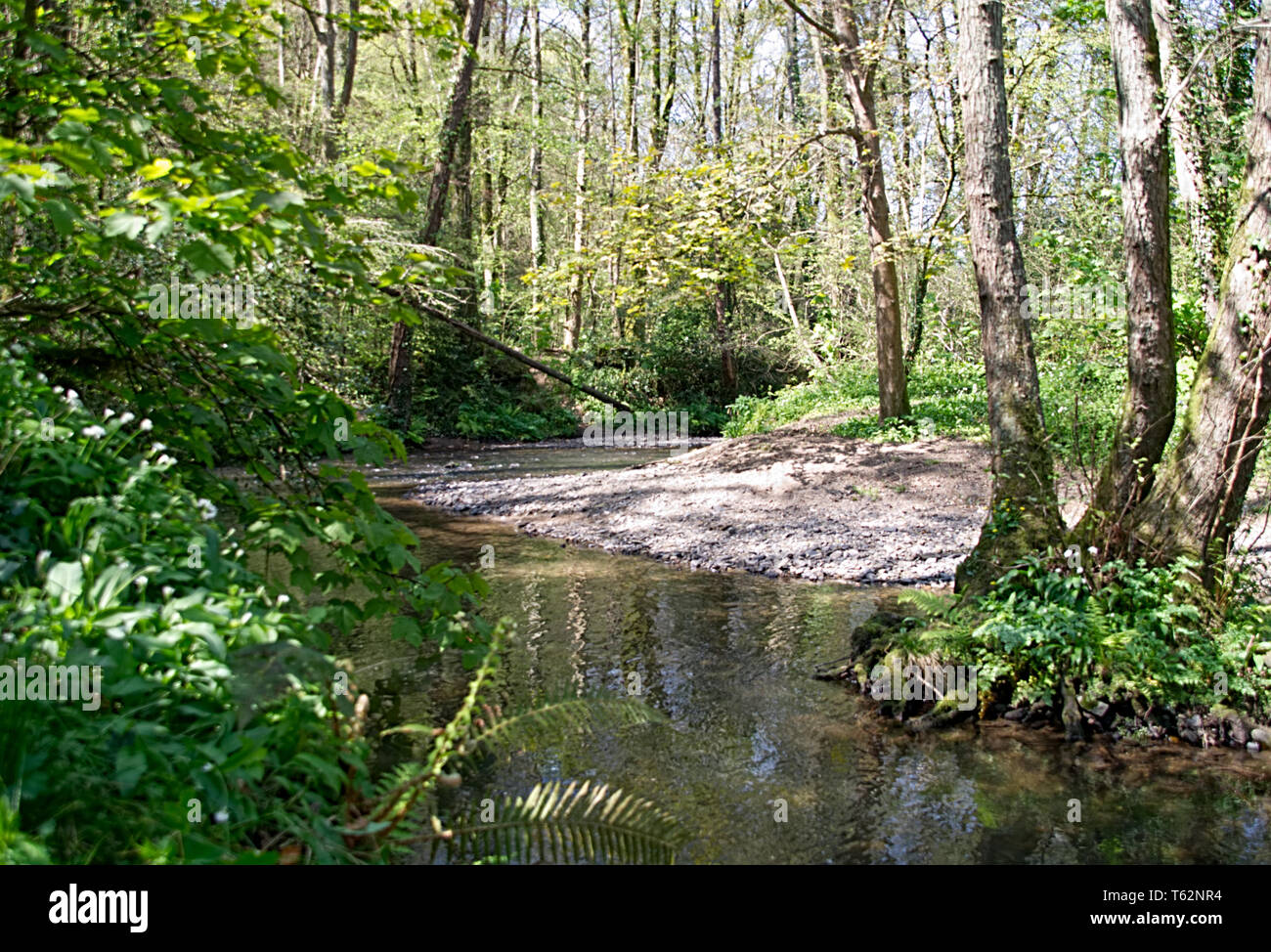 Fluss Zitrone Spaziergänge Stockfoto