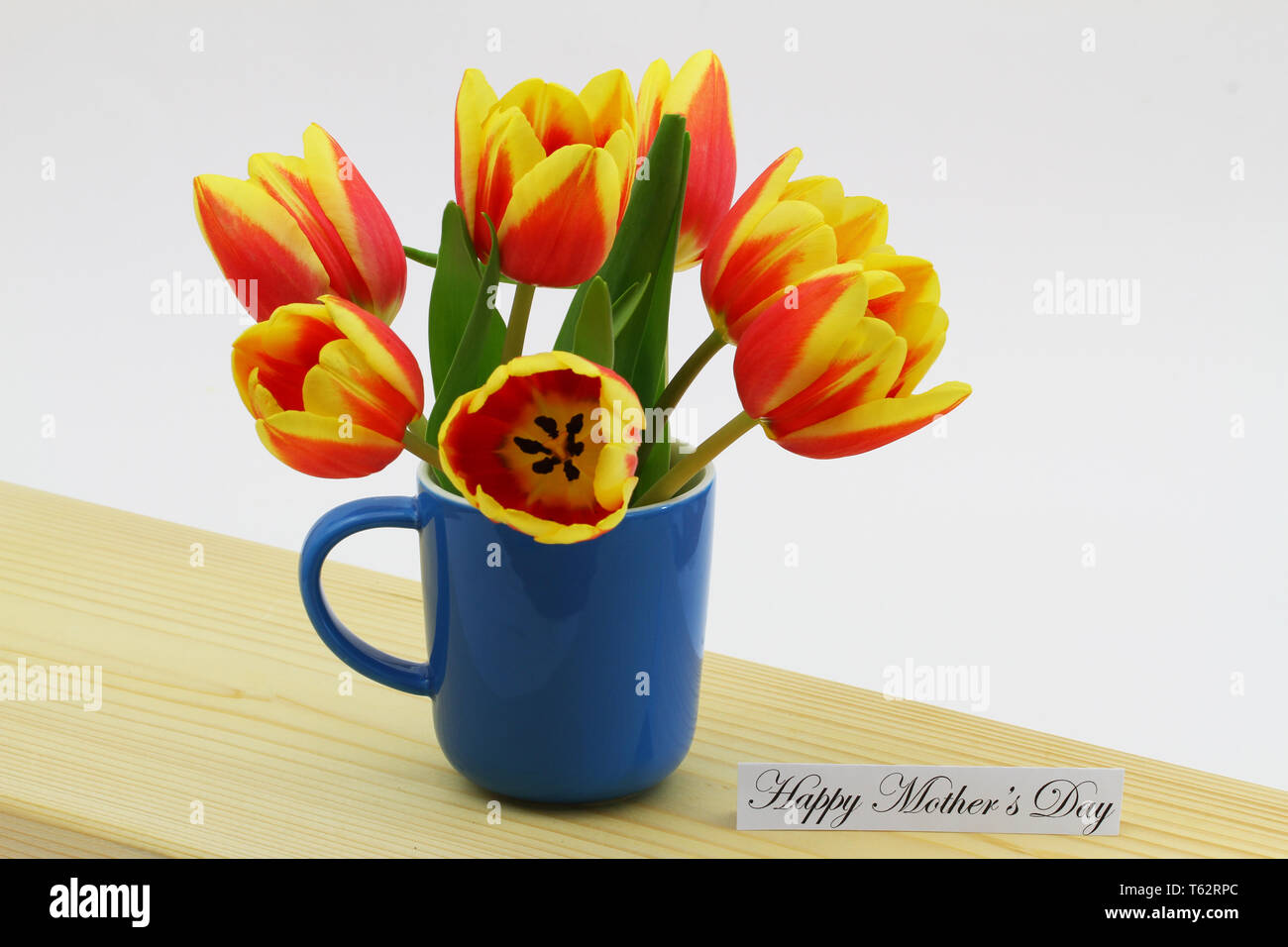 Glückliche Mütter Tag Karte mit roten und gelben Holländischen Tulpen in Blau Becher auf Holz- Oberfläche Stockfoto