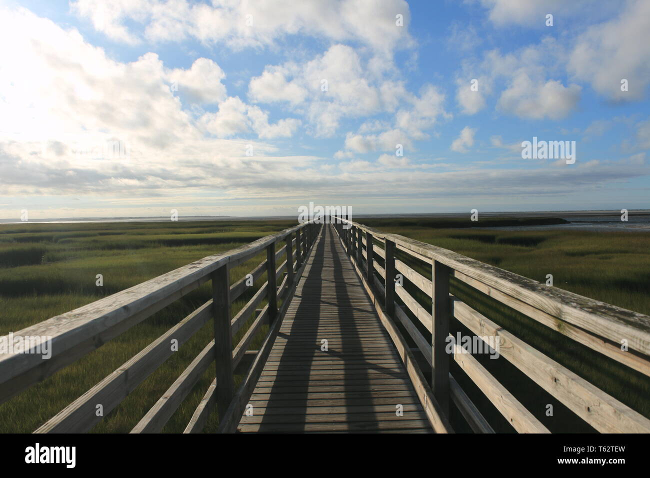 Boardwalk to nirgends über Sümpfe in Cape Cod USA mit Wolken darüber, um einen perfekten Postkarteneffekt zu machen. Stockfoto