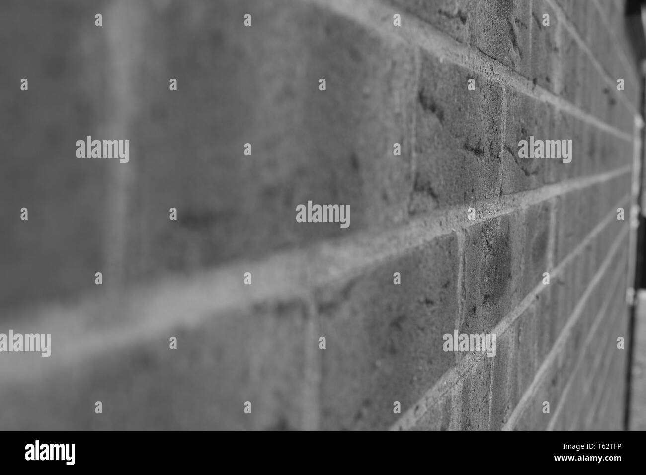 Monochrome Aufnahme der Ziegelwand in Nahaufnahme mit einem Geringe Schärfentiefe mit unscharf im Vordergrund für ein abstraktes/Hintergrund/Textur-Gefühl Stockfoto