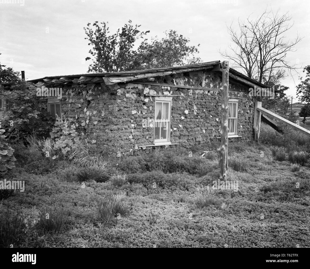 1870s 1880s 1890s SODDIE EINE ALTE GRASSCHOLLEHAUS DER AMERIKANISCHEN Great Plains in der Nähe von Paxton NEBRASKA USA-h7860 HAR 001 HARS 1870s 1880s RESIDENCE NB SOD KREATIVITÄT Wohnung nebengebäude SCHWARZ UND WEISS GREAT PLAINS HAR 001 NEBRASKA ALTMODISCHE PAXTON Stockfoto