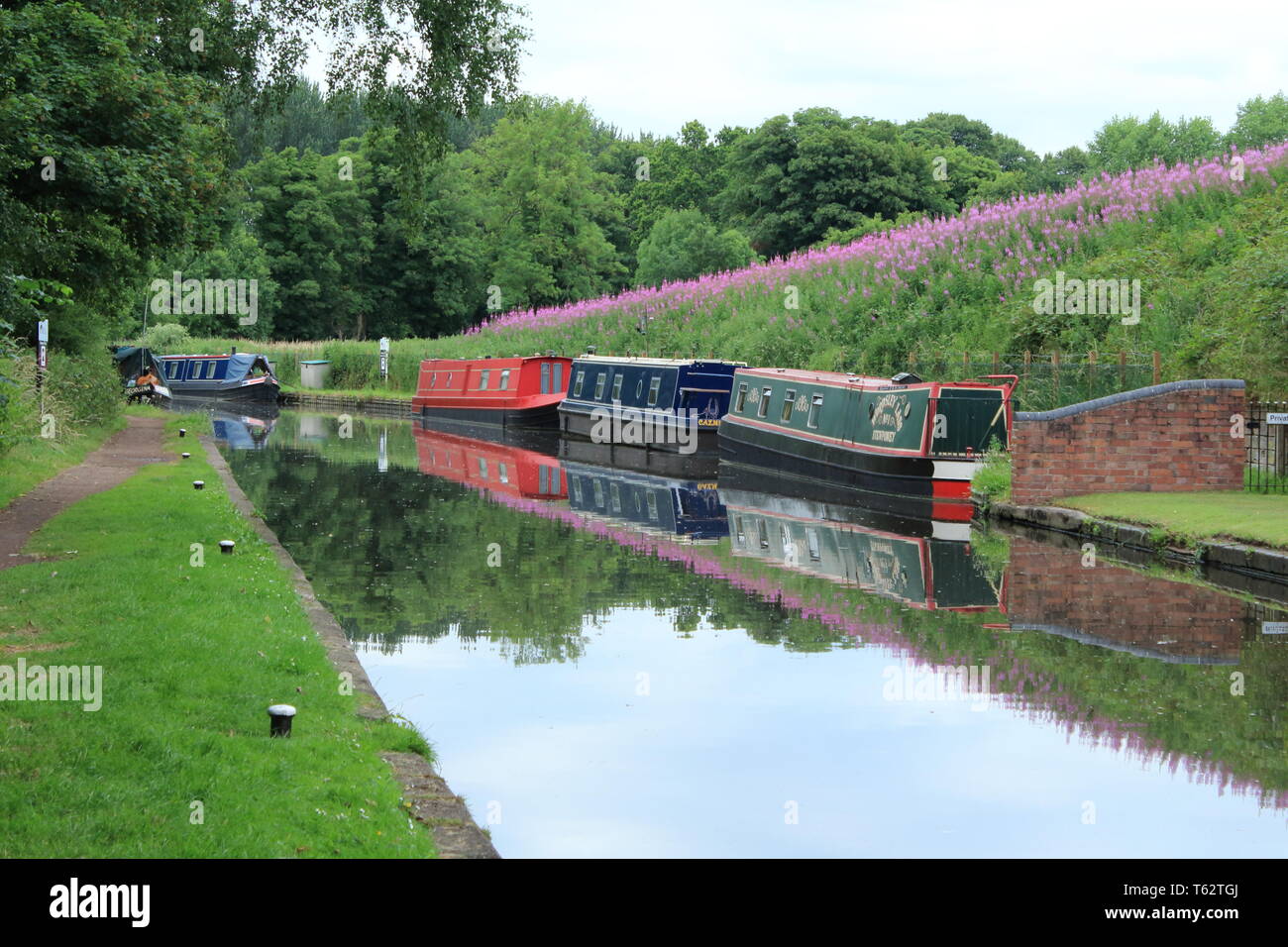 Narrowboats vertäut aufgereiht in einer Reihe auf dem Stafforshire und Worcester Kanal in Großbritannien von einem wunderschönen bankside mit Blumen bedeckt mit Reflexen Stockfoto