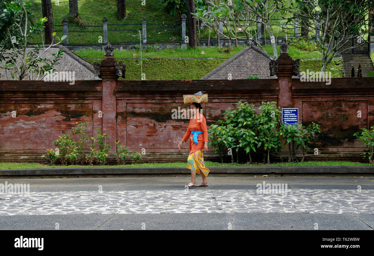 Frau wandern in Sarong mit einem Korb auf dem Kopf, das zweimal jährlich erscheinende Mode-Special heiligen Tempel, Ubud, Bali, Indonesien Stockfoto