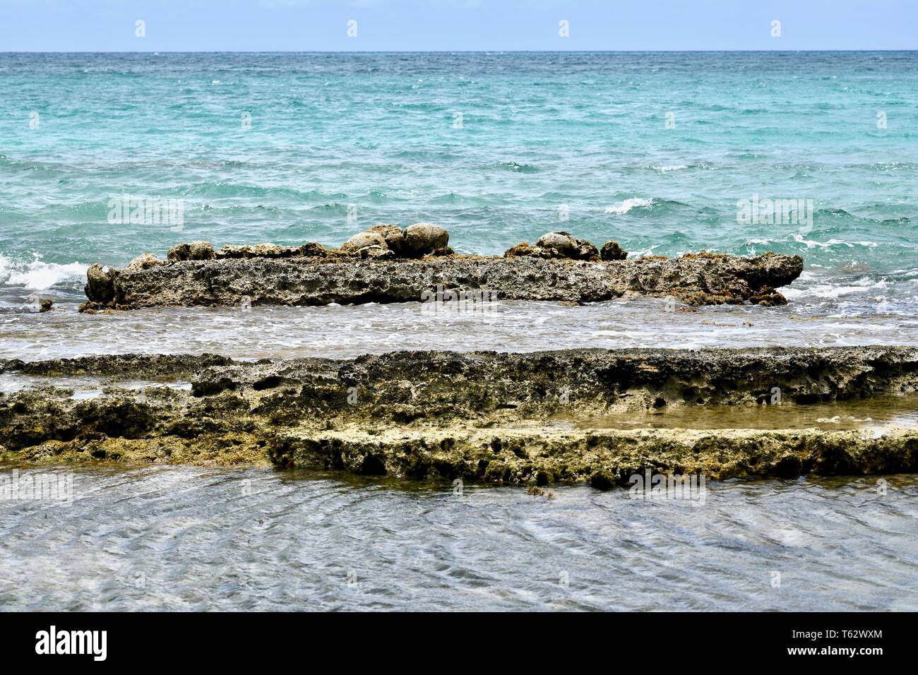 Freiliegende Coral Reef auf der Insel St. Croix, United States Virgin Islands Stockfoto