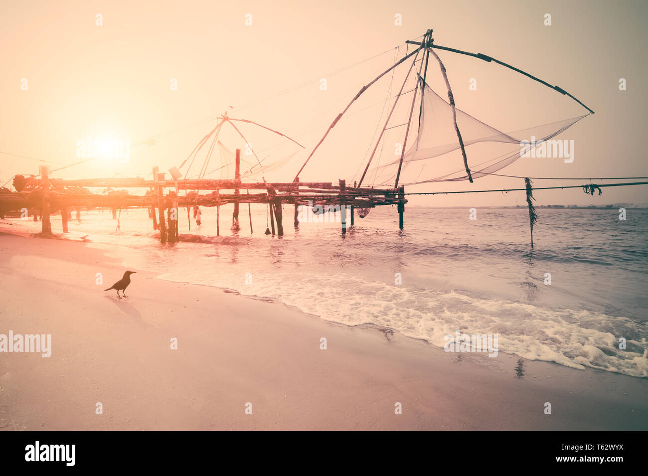 Sonnenuntergang Farben der tropischen Strand. Ozean Küste Landschaft mit chinesischen Fischernetze Silhouette in Cochin (Kochi). Süd Indien, Kerala, Kochin Stockfoto