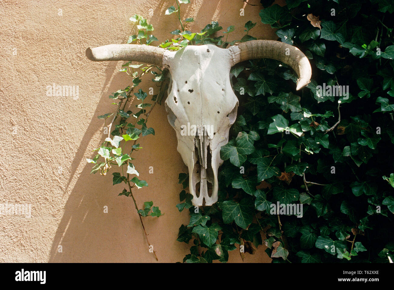 Mode der 1990er jahre Fotos und Bildmaterial in hoher Auflösung Alamy
