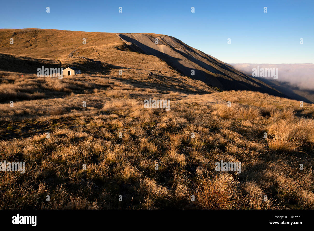 Bild von Tim Manschette - 23./24. März 2018 - Aufmarsch auf dem Mount Roberts, Nelson, Neuseeland Stockfoto