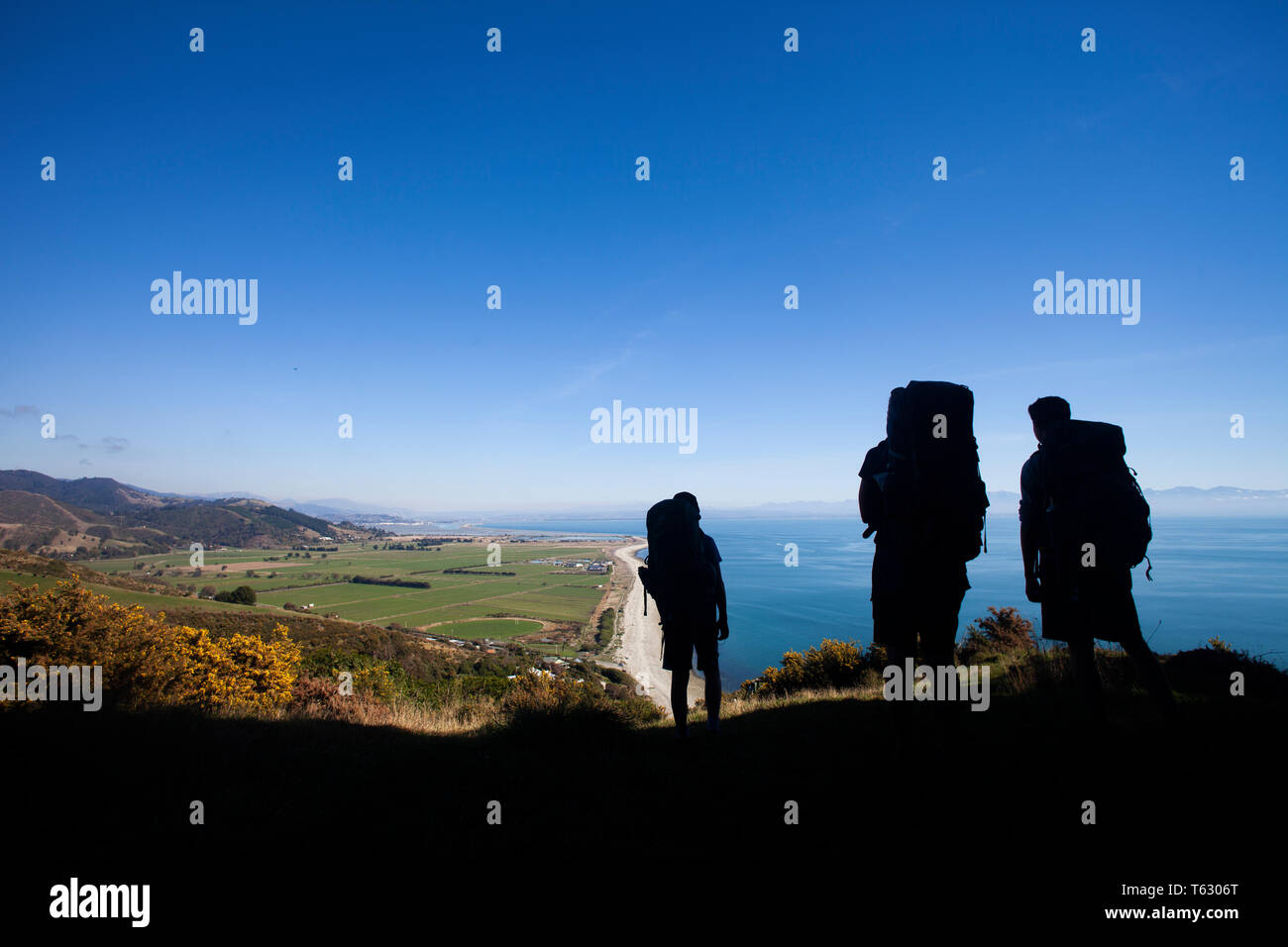 Wanderer über dem Glen, Nelson, Neuseeland Stockfoto