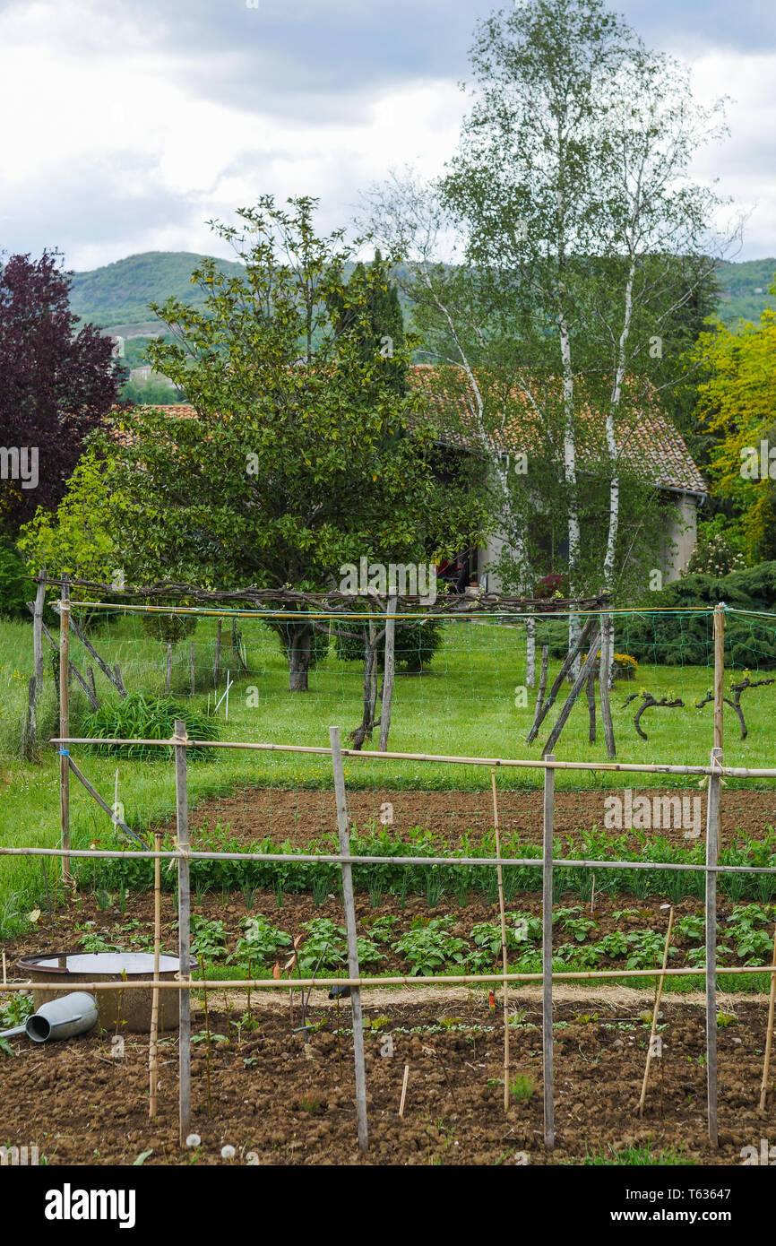 Gemüsegarten, Chomerac, Ardèche, Frankreich Stockfoto