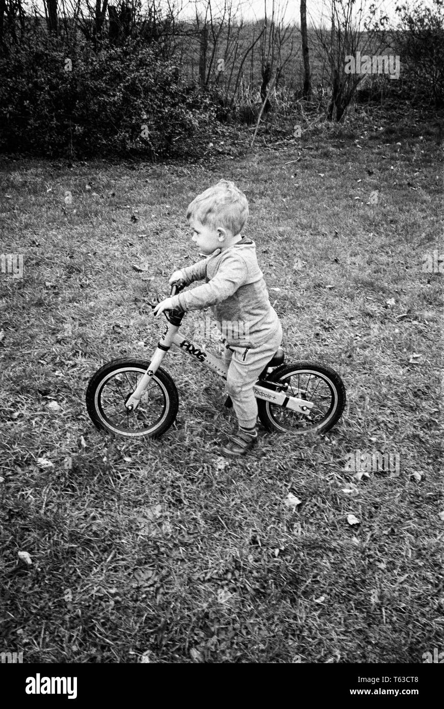 Zwei Jahre alten Jungen auf einem Fahrrad entlang schieben. Stockfoto