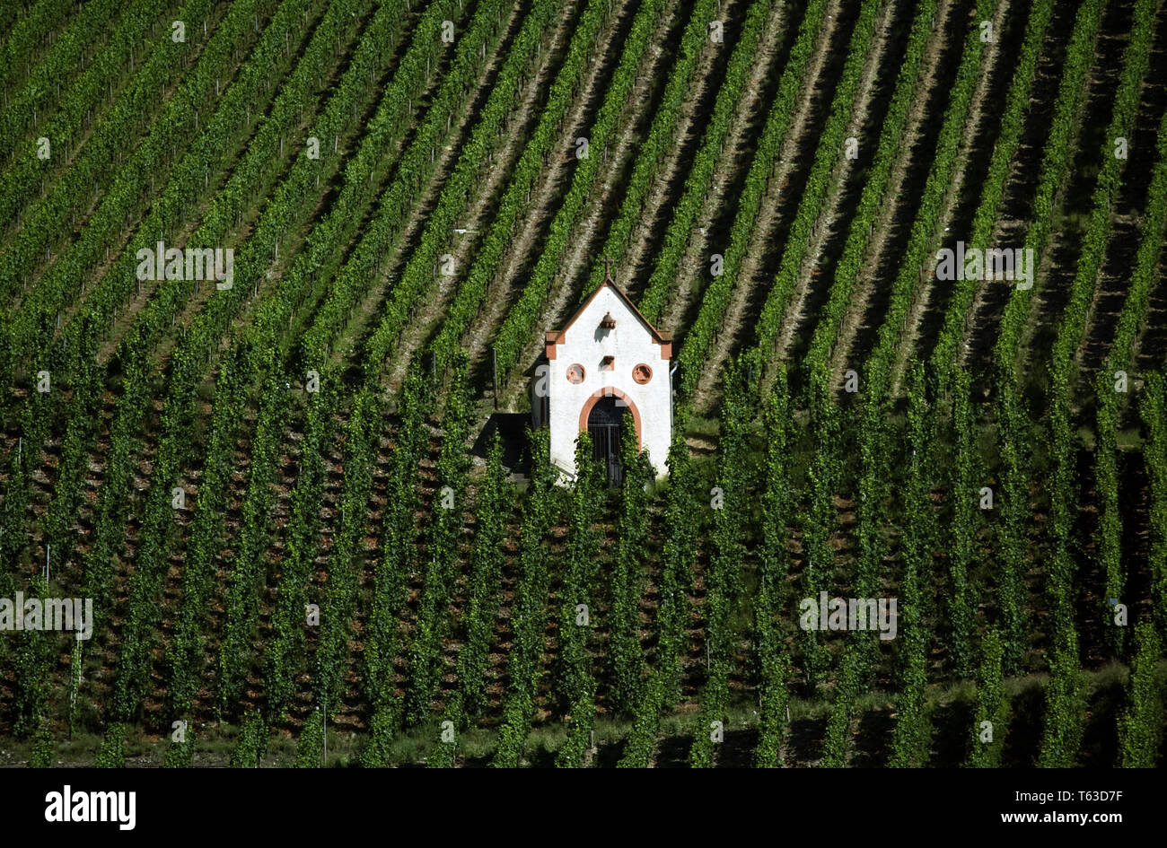 Kapelle im Weinberg, Piesport, Mosel, Deutschland Stockfoto
