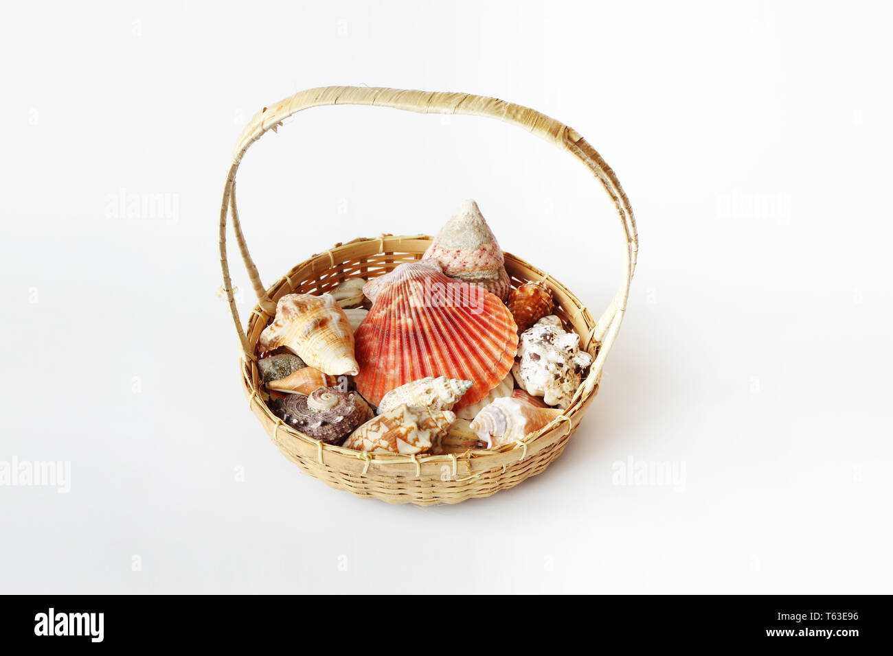 Sehr schöne Muscheln im Warenkorb auf weißem Hintergrund Stockfoto Sehr schöne Muscheln im Warenkorb auf weißem Hintergrund Stockfoto