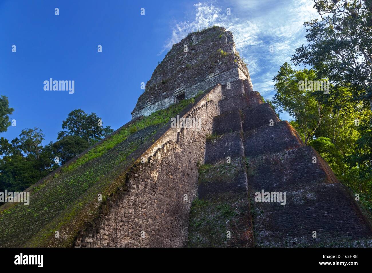 Seitenansicht der antiken Ruinen der Maya-Pyramide, bekannt als Tikal Tempel V (Tempel fünf oder Tempel 5), im weltberühmten Nationalpark Guatemala Stockfoto