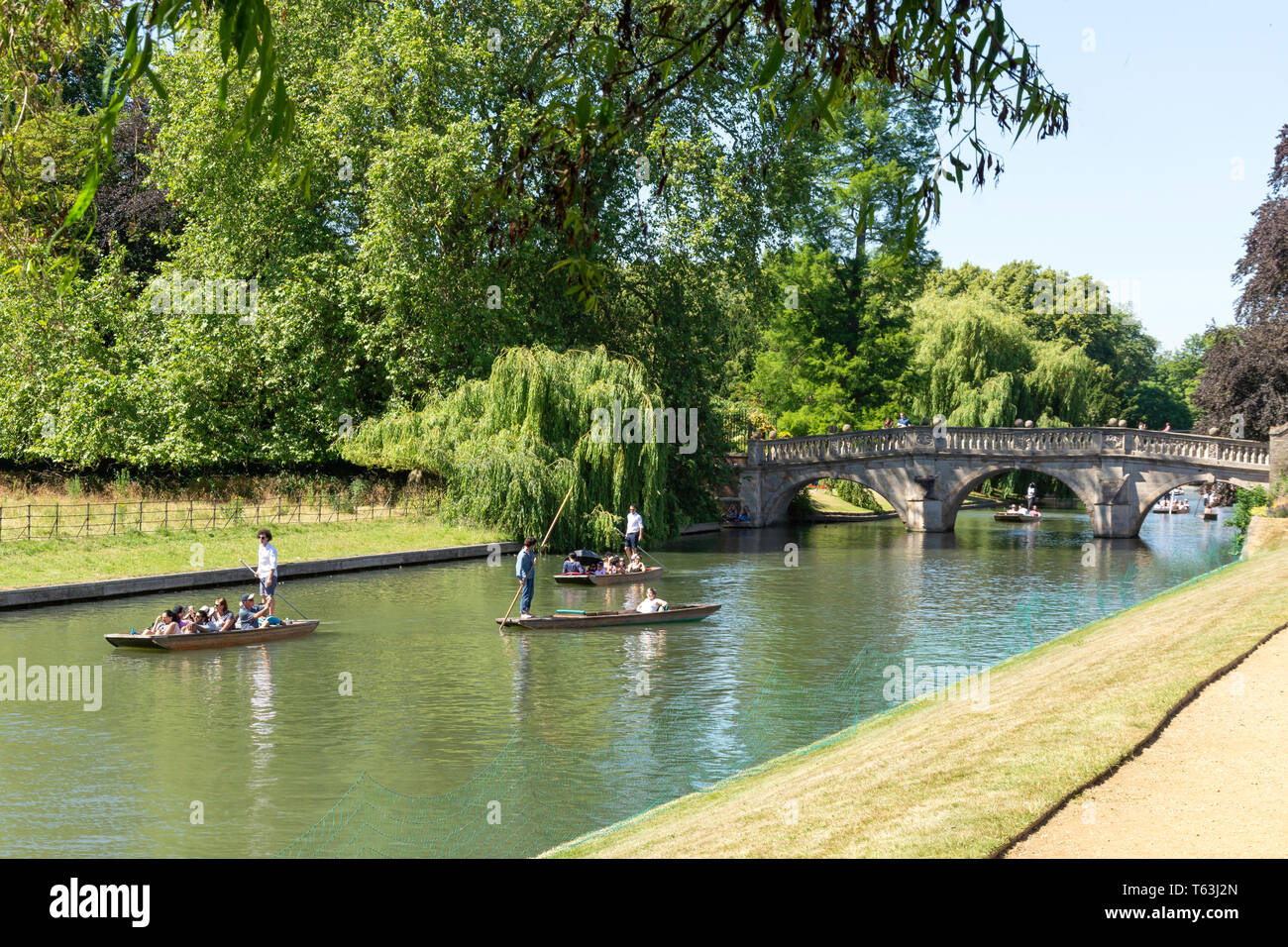 Stocherkähne auf dem Fluss Cam, Cambridge, Cambridgeshire, England, Vereinigtes Königreich Stockfoto