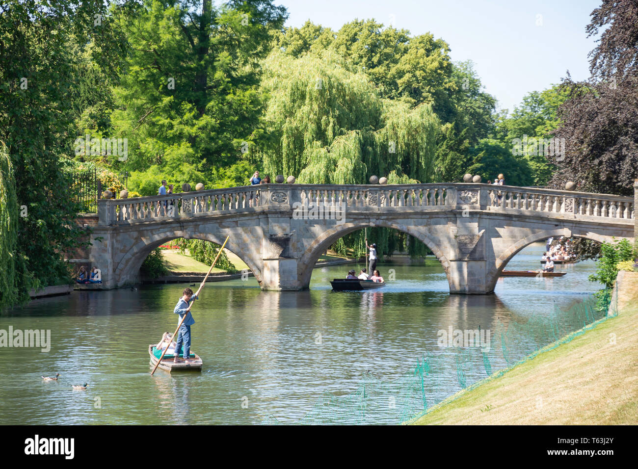 Stocherkähne auf dem Fluss Cam, Cambridge, Cambridgeshire, England, Vereinigtes Königreich Stockfoto