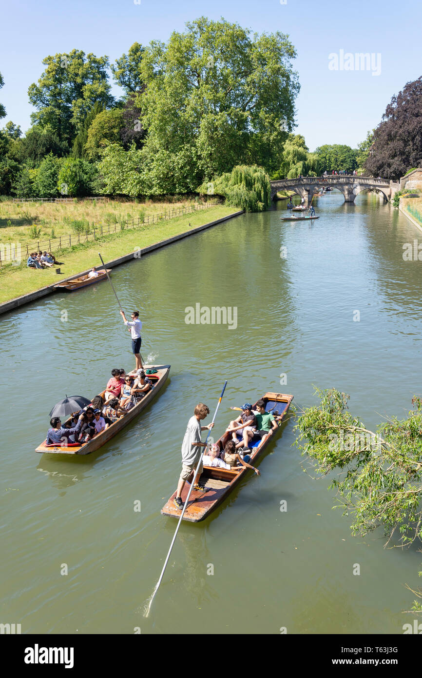 Stocherkähne auf dem Fluss Cam, Cambridge, Cambridgeshire, England, Vereinigtes Königreich Stockfoto