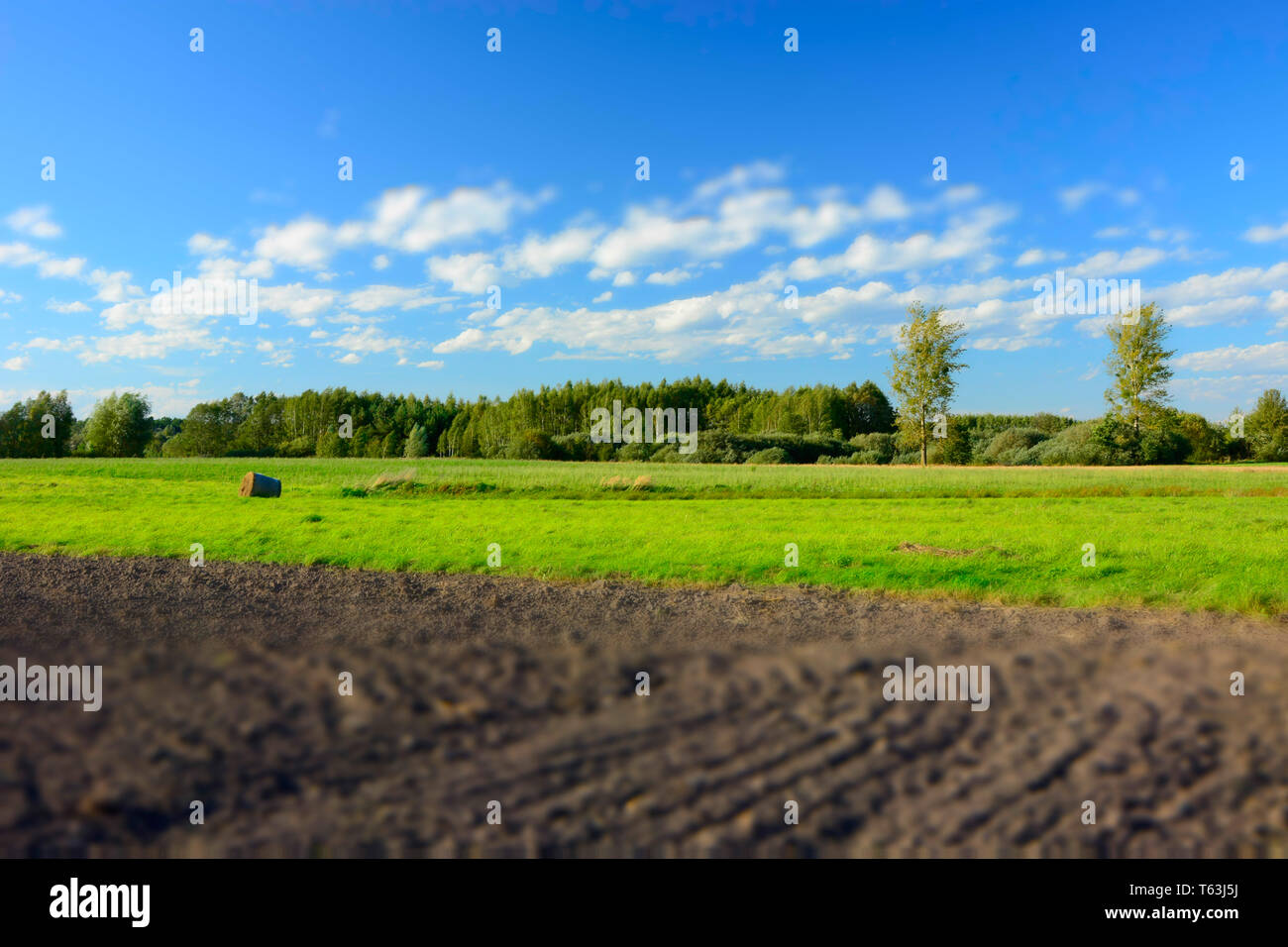 Gepflügte Feld-, Wald- und weißen Wolken am blauen Himmel - Blur und kontrastierenden Farben Stockfoto