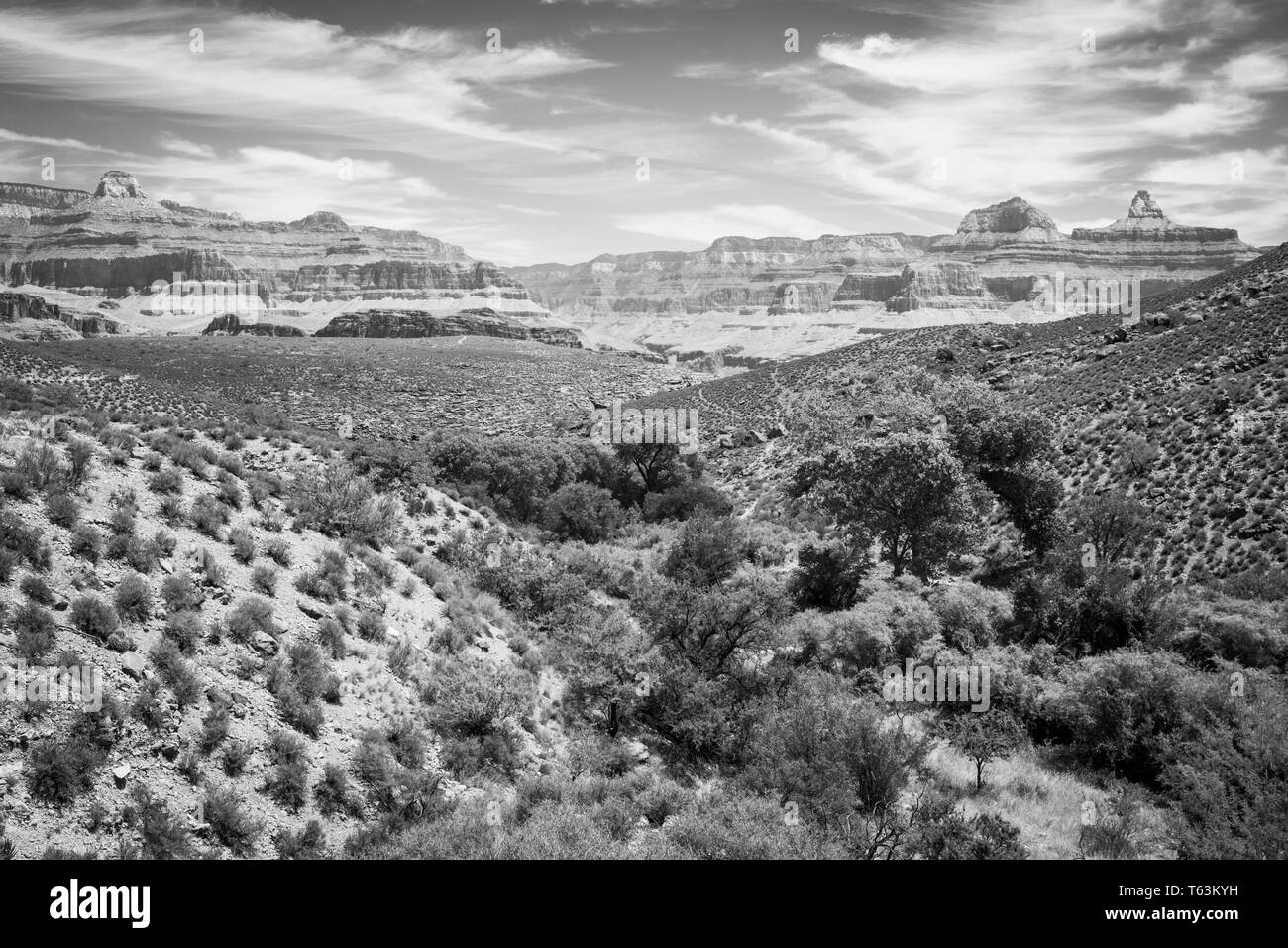 Views beim Gehen zu Plateau Point von Indian Garden im Grand Canyon National Park, Arizona, USA Stockfoto