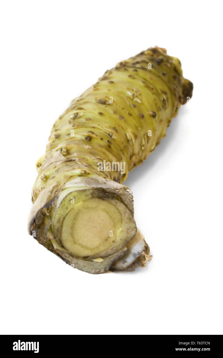 Wasabi-Wurzel Stockfoto