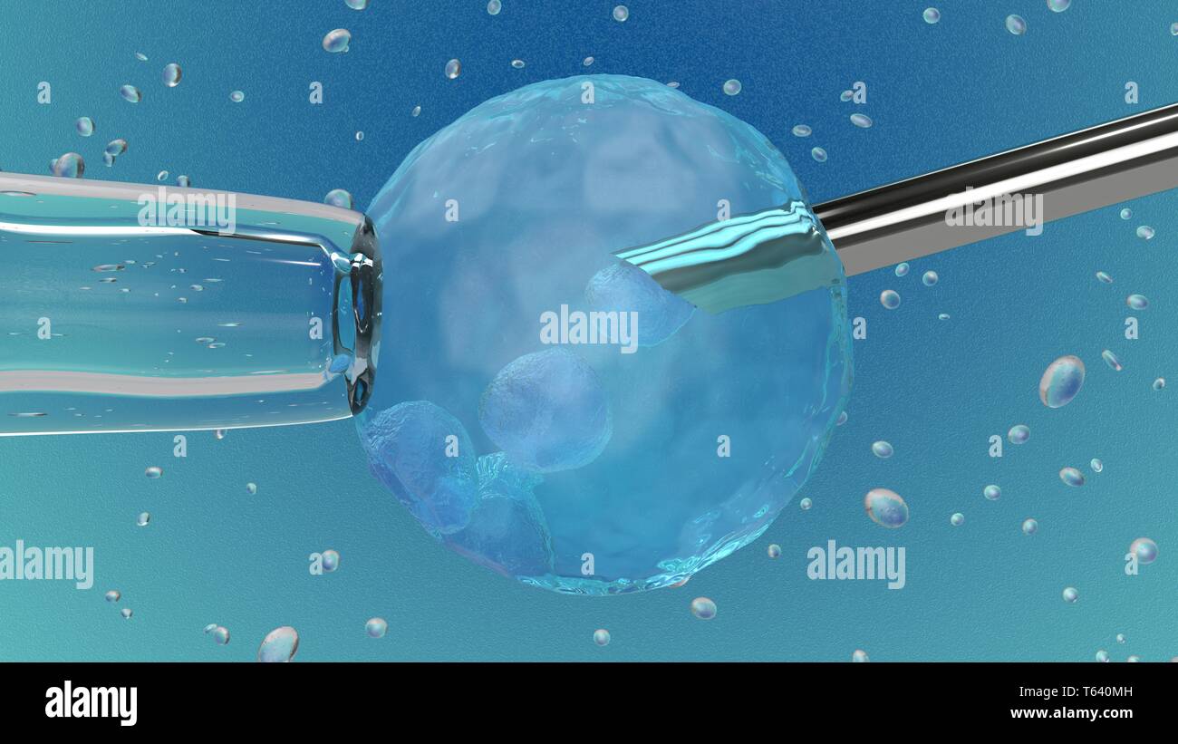 3D-Illustration: Künstliche Befruchtung: Stahl Nadel die Befruchtung einer weiblichen Eizelle auf blauem Hintergrund mit Blasen. Medizinisches Konzept Stockfoto