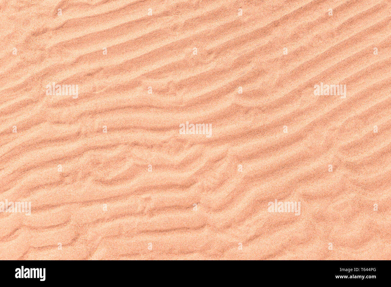 Nasser sand Oberfläche mit Wave natürliche Muster. Natürliche Textur und Hintergrund Stockfoto
