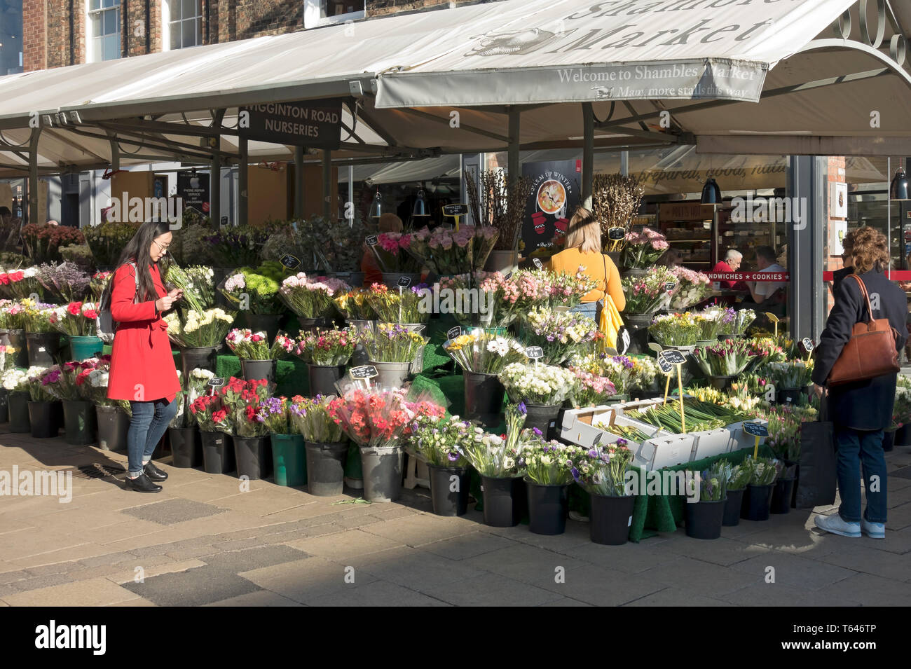 Besucher, die frische Blumen zum Verkauf auf einem Blumenmarkt im Stadtzentrum von York North Yorkshire England Großbritannien kaufen möchten Stockfoto
