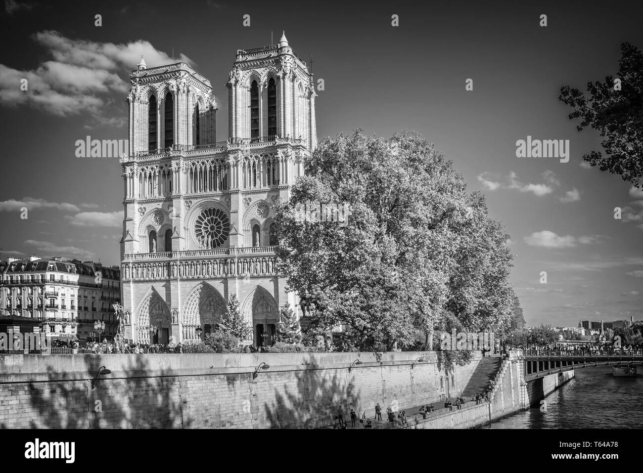Notre Dame de Paris und die Seine, Paris, Frankreich Stockfoto