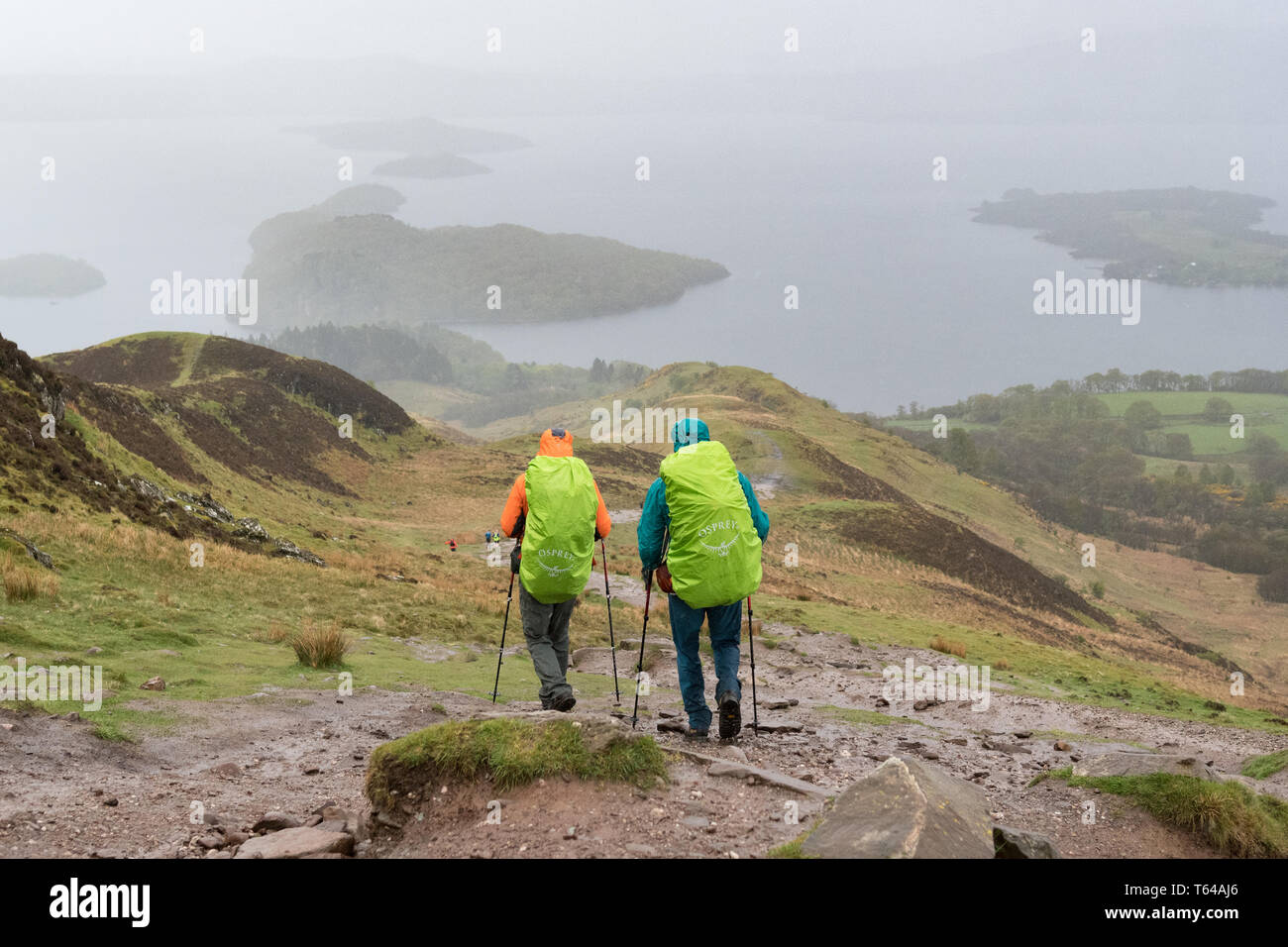 West Highland Way Wanderer zu Fuß in Richtung Loch Lomond in absteigender Reihenfolge von Conic Hill bei Regenwetter, Schottland, Großbritannien Stockfoto