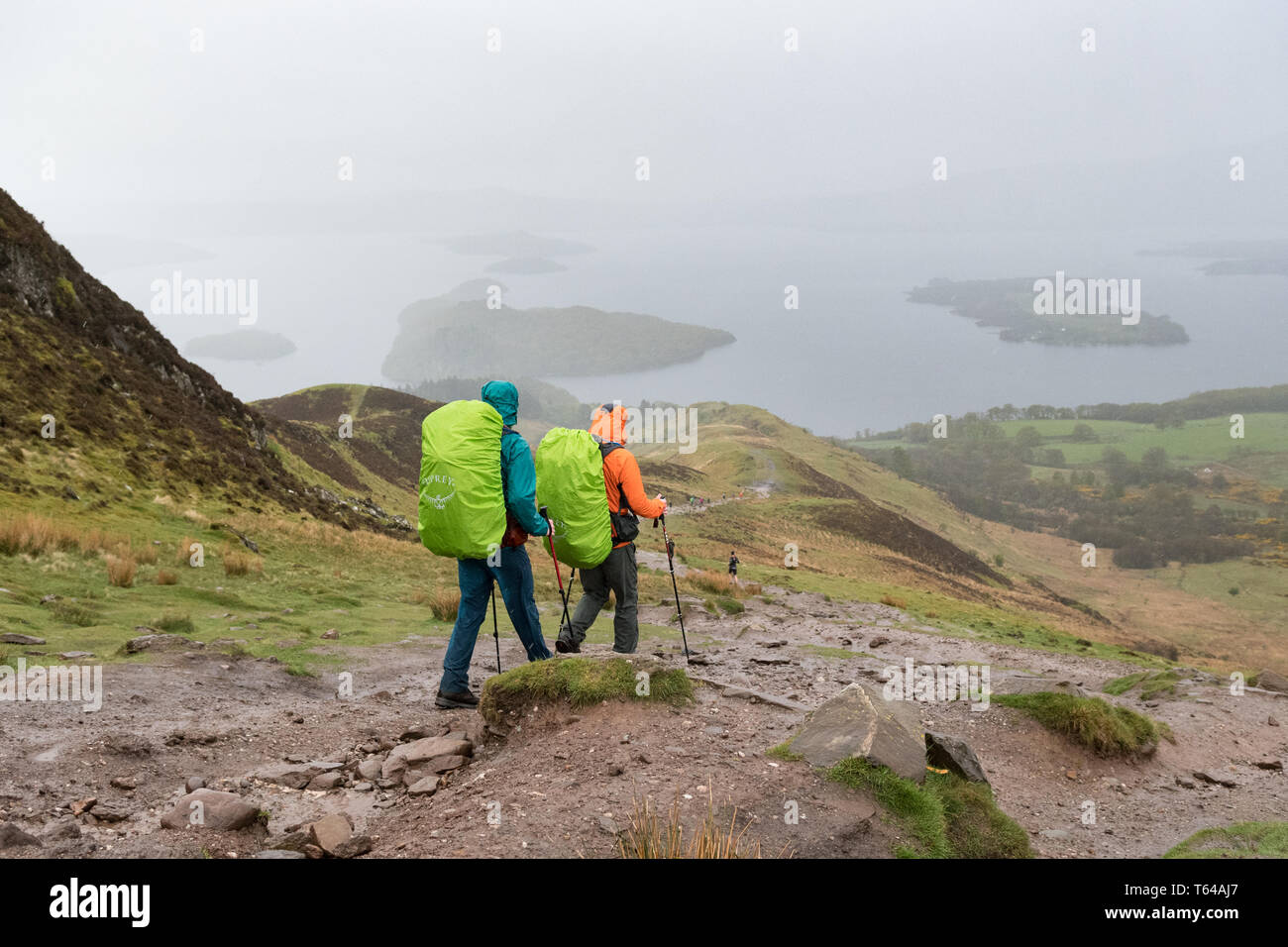 West Highland Way Wanderer zu Fuß in Richtung Loch Lomond in absteigender Reihenfolge von Conic Hill bei Regenwetter, Schottland, Großbritannien Stockfoto