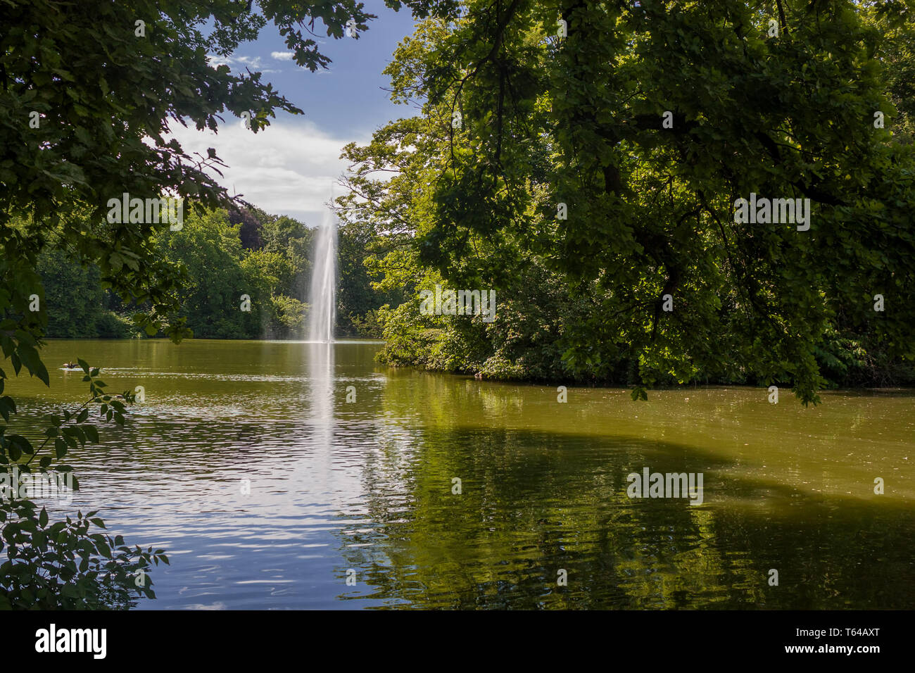 Stadtwald köln Fotos und Bildmaterial in hoher Auflösung Alamy