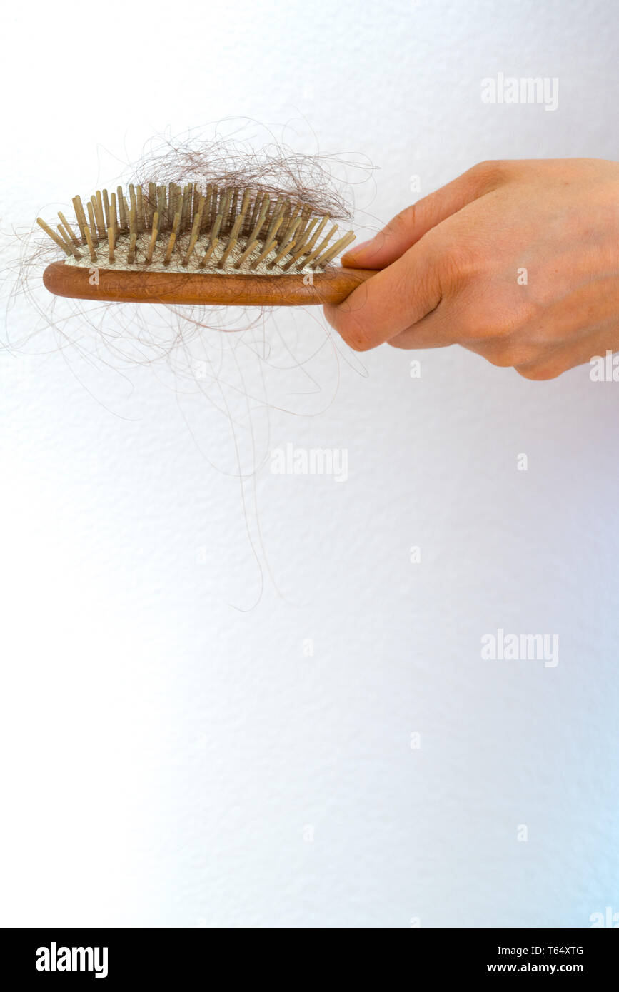 Detail vertikale Ansicht für eine weibliche Hand, die eine Haarbürste voller Haar, weil der Haarausfall Problem Stockfoto