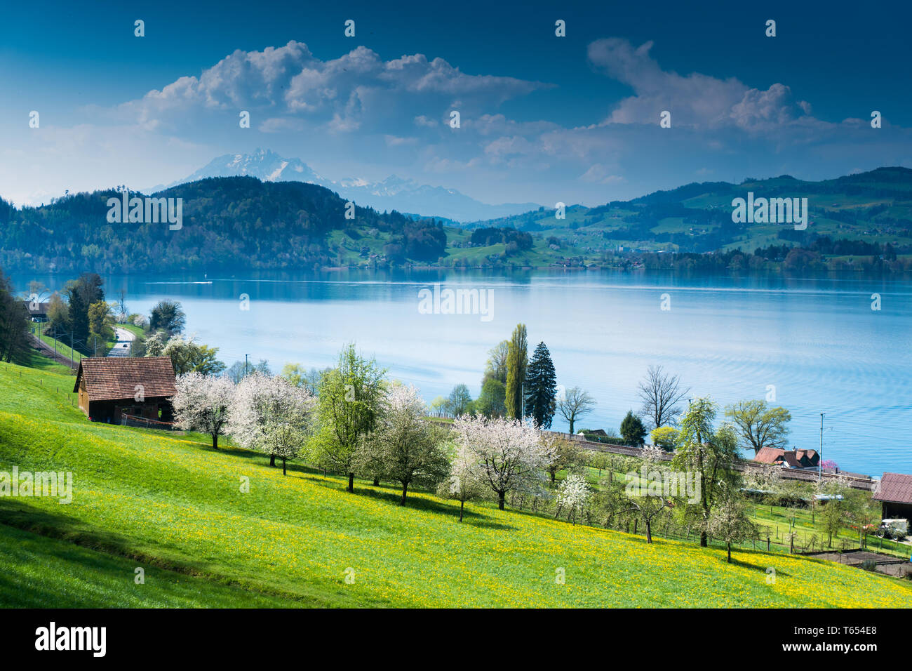 Blick auf malerische Schweizer Berg- und Seenlandschaft am Zugersee See in der Zentralschweiz an einem schönen Frühlingstag Stockfoto