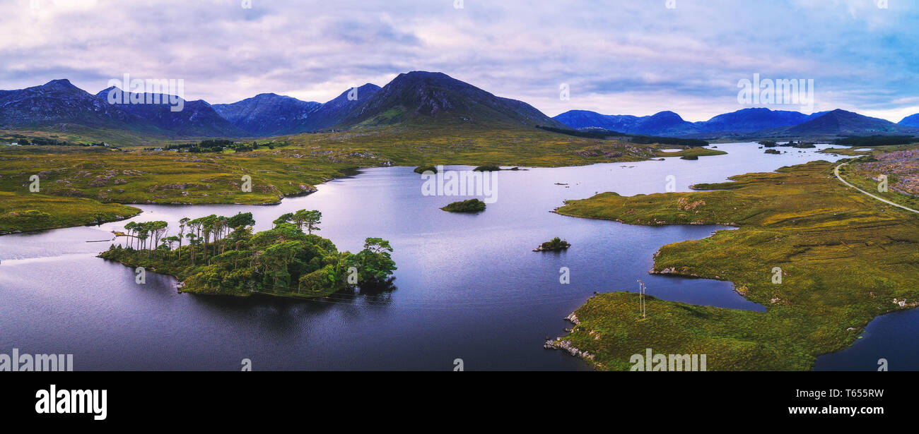 Antenne Panorama der Pinien Insel im Derryclare Lake Stockfoto