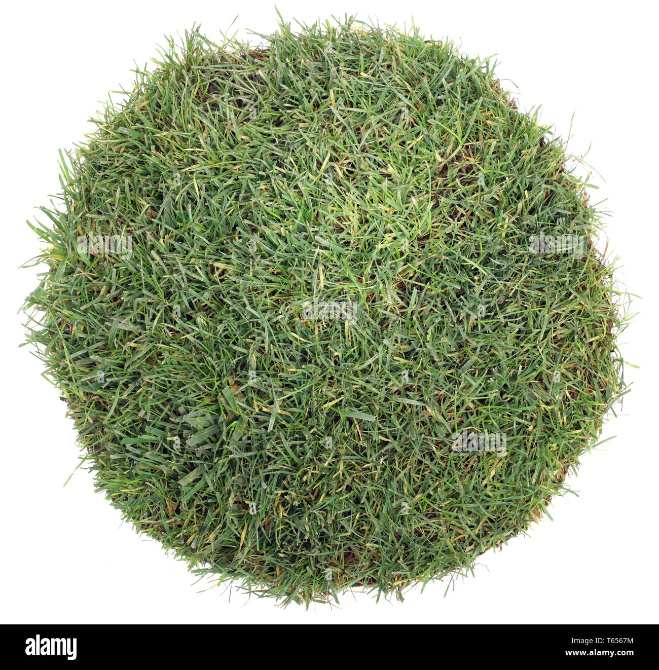 Gras Ball Ausschnitt Stockfoto